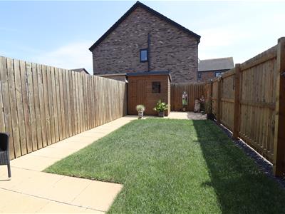 Picture 11